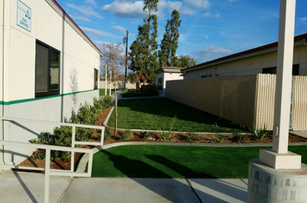 Artificial Turf Visalia