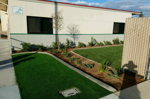 Artificial Turf Visalia