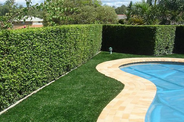 Artificial Turf Visalia