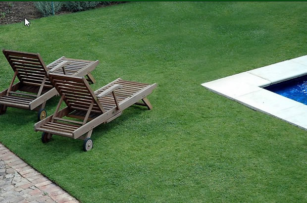 Synthetic Grass Services In Visalia