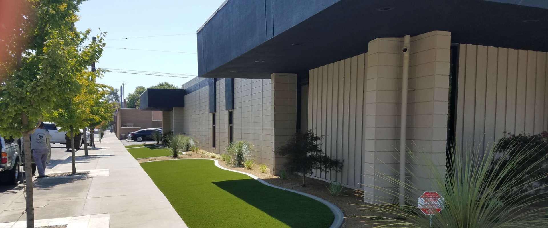 Artificial Turf Visalia